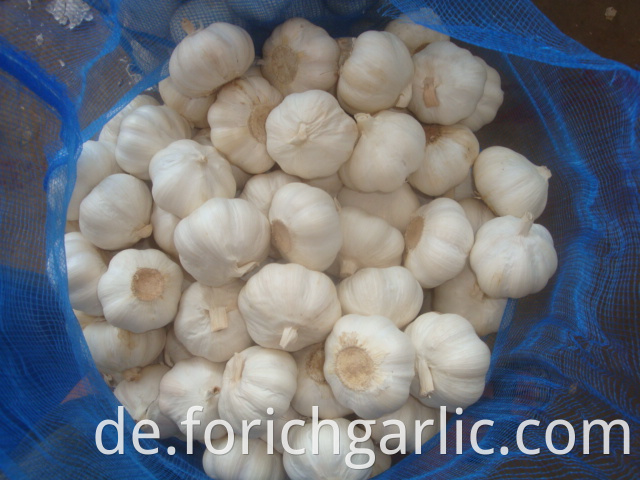 Pure White Garlic